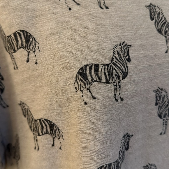 Anthropologie Scoop Neck Zebra Tee - Picture 2 of 4